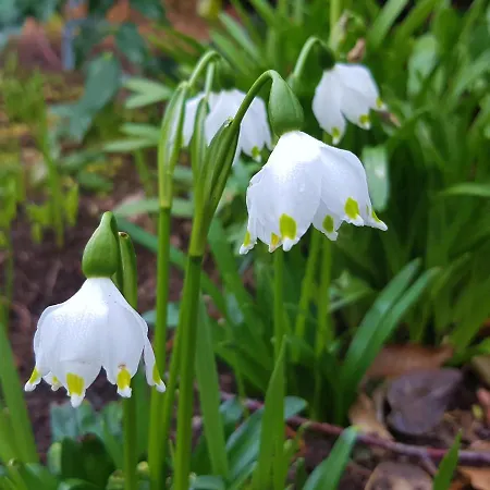 Theresia Apartmán Sankt Martin am Tennengebirge