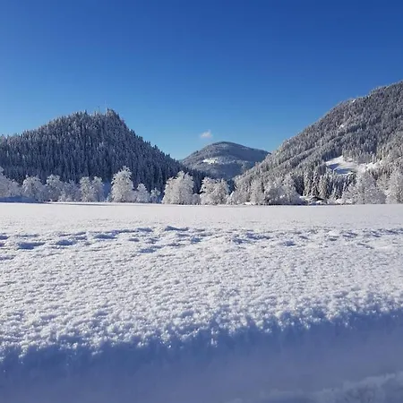 Theresia Apartment Sankt Martin am Tennengebirge